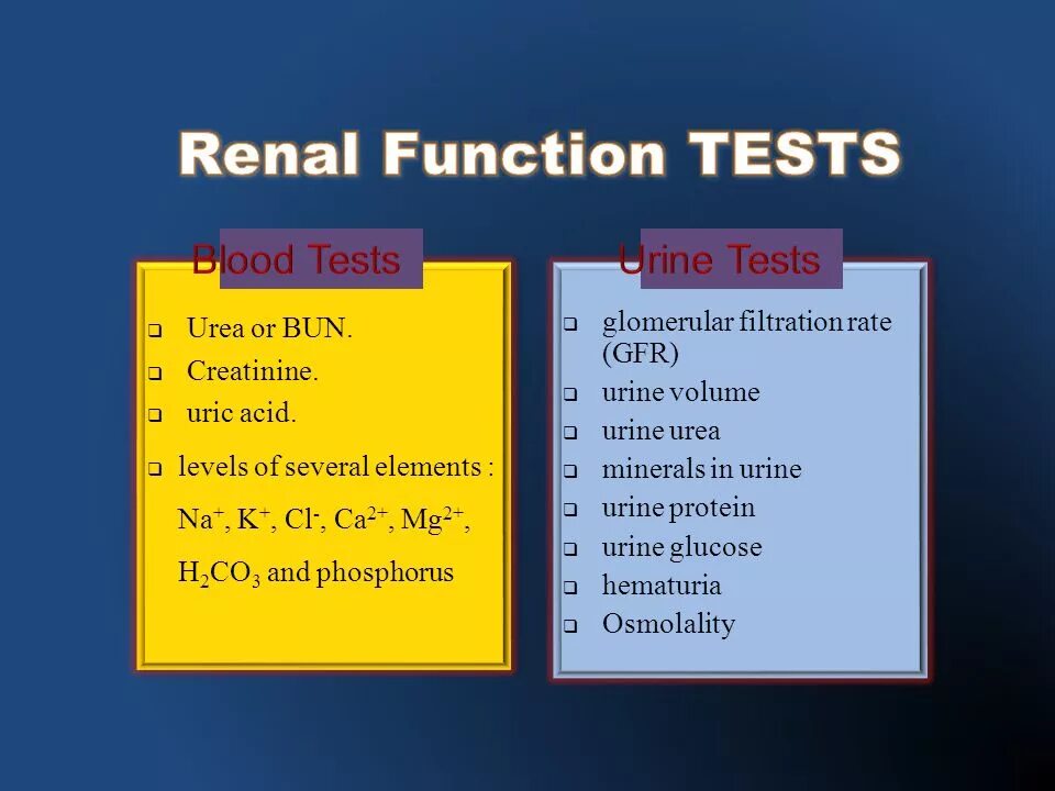Function testing. . renal function tests. тест rft. assessment of renal function пак. обновлённая линейка renal function.