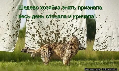 Не знают и не признают