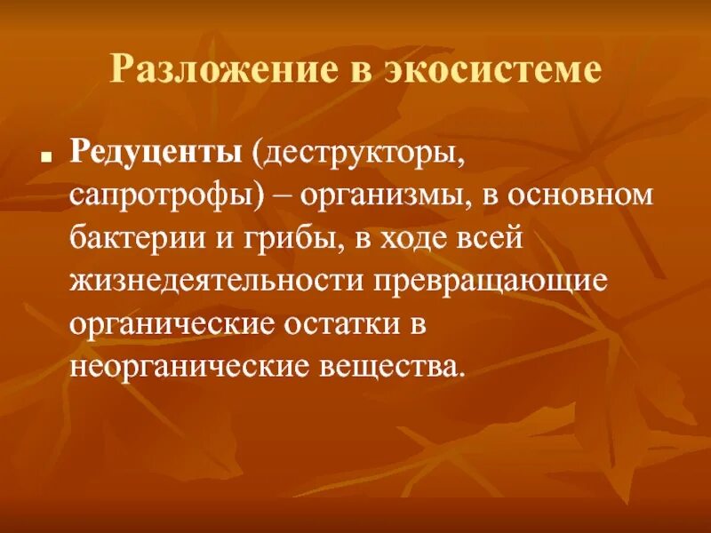 Роль грибов в жизни бактерий. Функция грибов в экосистеме. Роль бактерий и грибов в экосистеме. Бактерии и грибы в экосистеме. Значение грибов в экосистеме.