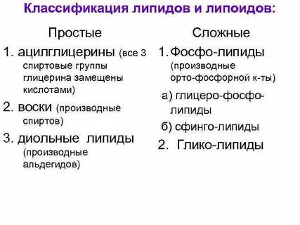 Чем липиды отличаются от жиров
