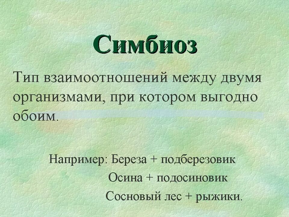 Типы взаимоотношений организмов (симбиоз. Симбиоз Тип взаимоотношений. Типы взаимодействия организмов симбиоз. Симбеи.