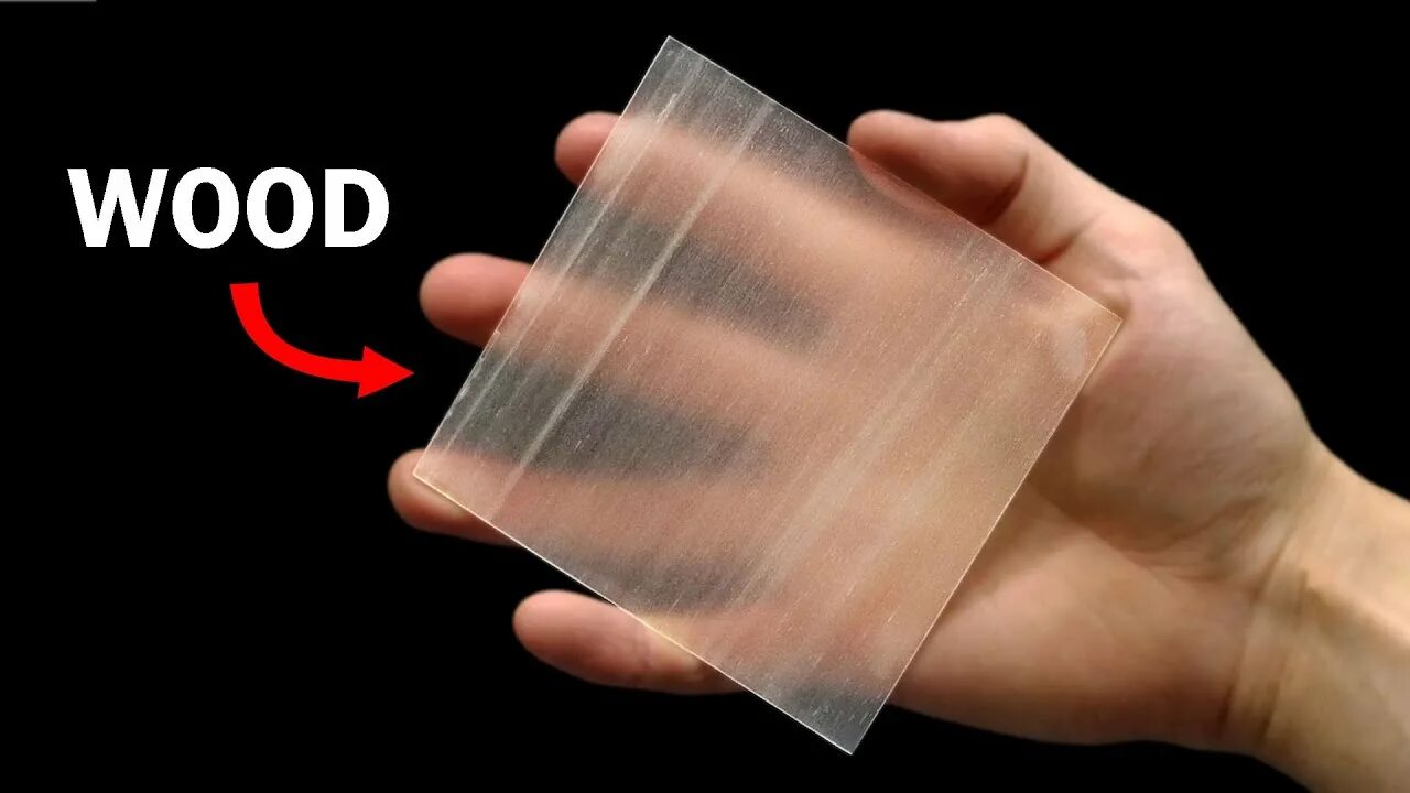Make transparent. Translucent wood. ученые изобрели прозрачную древесину. making transparent wood. making transparent wood process.