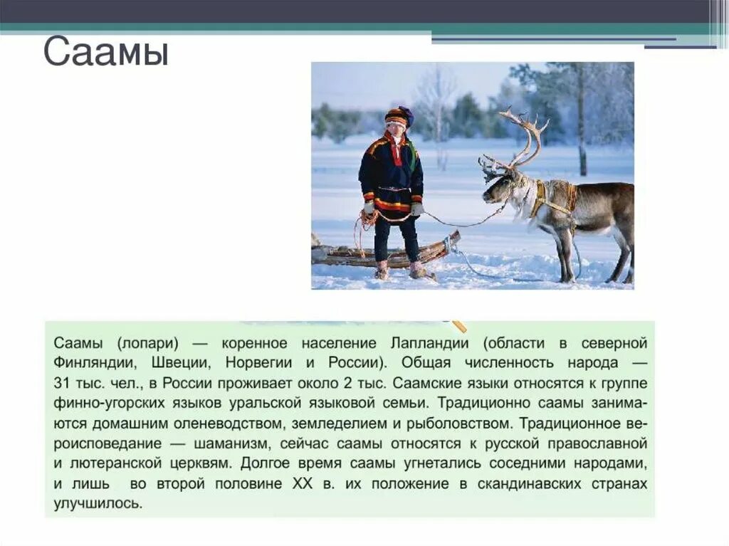 Население европейского севера России 9 класс. Народы европейского севера саамы. Численность саамов в Мурманской области. Занятия народов европейского севера. Сообщение о европейском народе