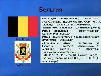 Бельгия форма правления