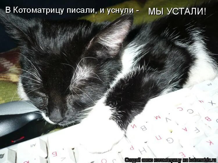 Приехали юмор. Статусы с котиками. Приглашение в гости открытка. Мы устали в гости. Едем в гости.