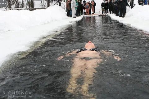 Моржи спб