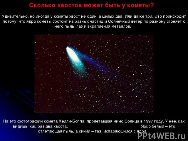 Почему у кометы бывает хвост. Сколько хвостов может быть у кометы. хвост кометы состоит. хвост кометы костюм. комета презентация хейли-боппа.