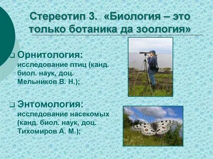 Периферия это в биологии