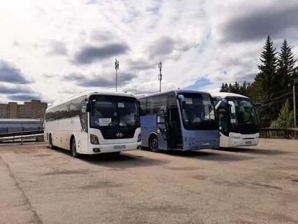 Автобусы ревда