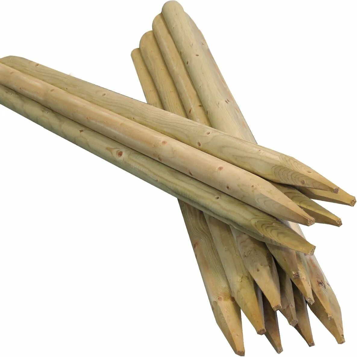 Long pointed