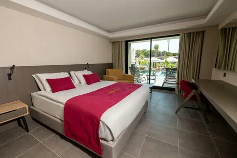 The x belek 5