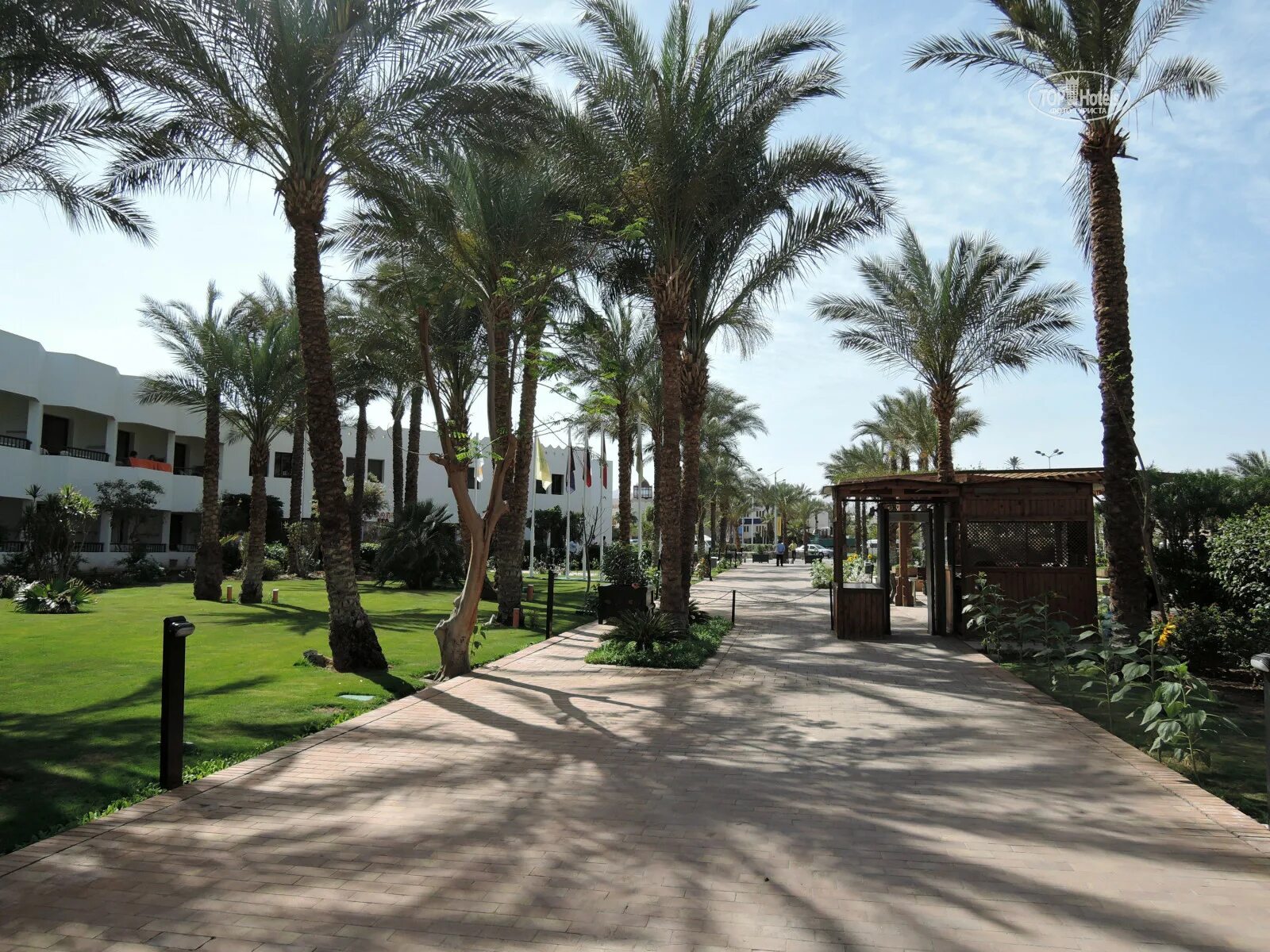 Газала бич 4 шарм-эль-шейх. Ghazala beach отзывы. Газала бич египет. Ghazala beach отзывы. Газала бич шарм-эль-шейх.