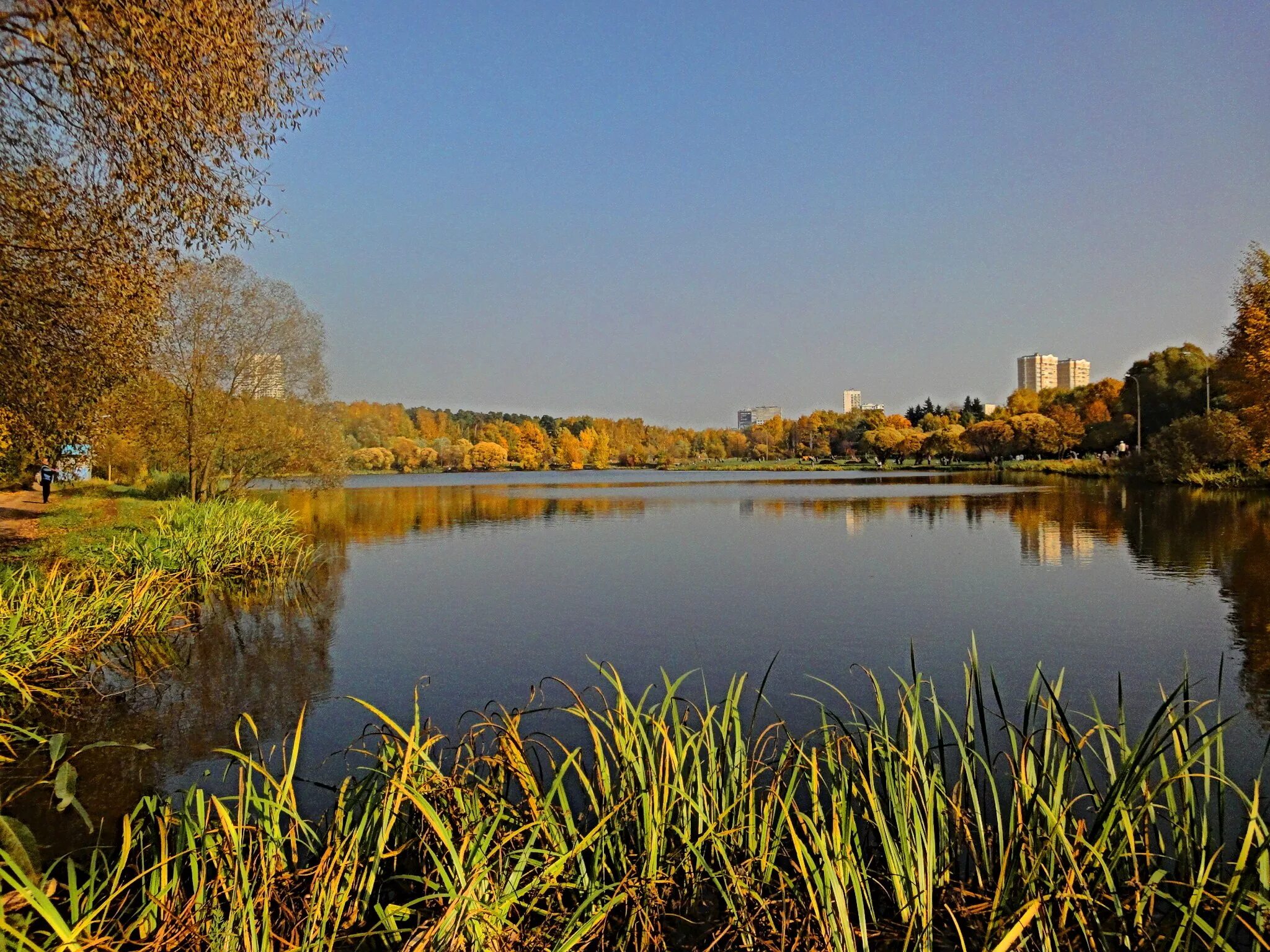Рыбалка в хонятино ступинский район. Пруд исполнитель. Пруд исполнитель. Ждановский пруд. Каскад прудов богородицк тульская область болотов.