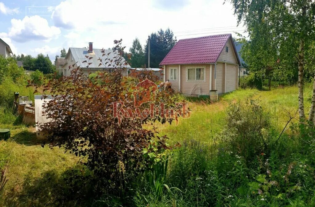 Участок снт лужки. Участок снт лужки. Снт лужок балабаново. Снт лужки. Снт лужки.