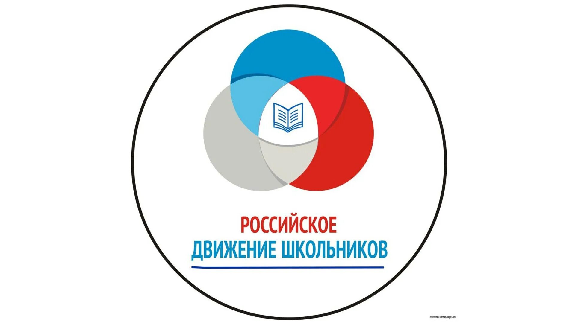 Логотип 2024 на прозрачном фоне. РДШ логотип. Символ РДШ. Логотип РДШ круглый. Российское движение школьников эмблема.