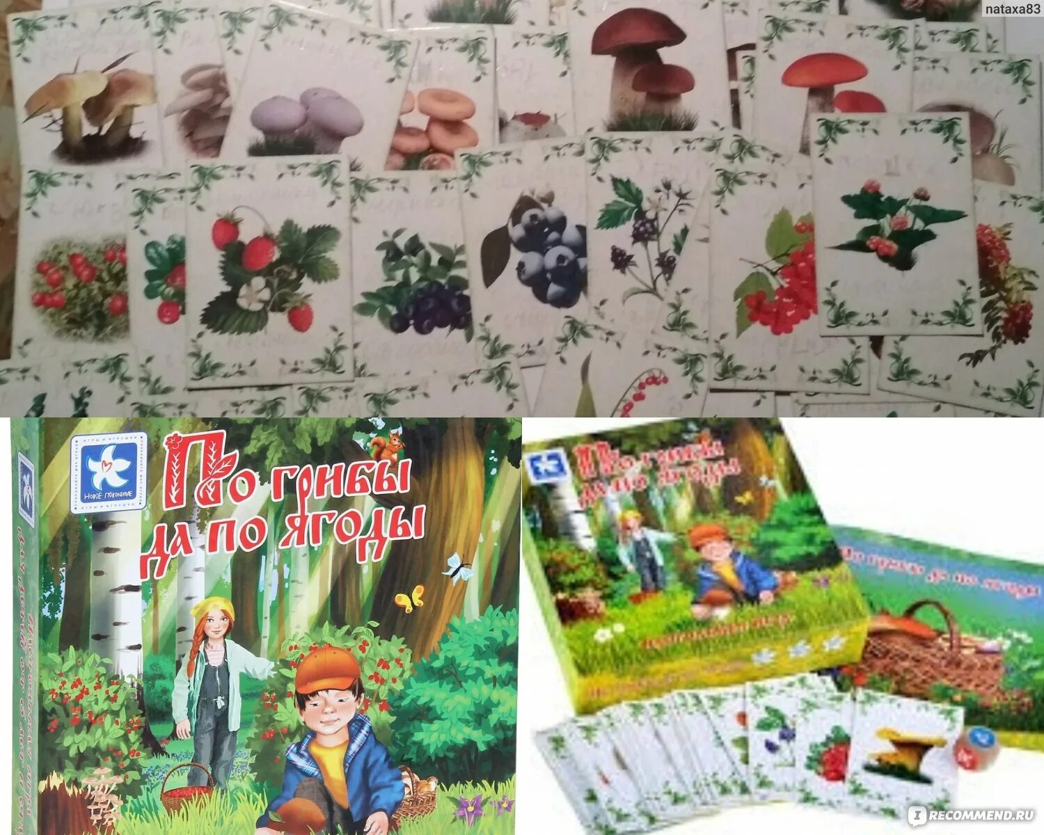 Собери грибы в корзинку. Игра про грибы и ягоды. Дидактический материал на липучках. Игра про грибы и ягоды. Дидактическая игра грибы.