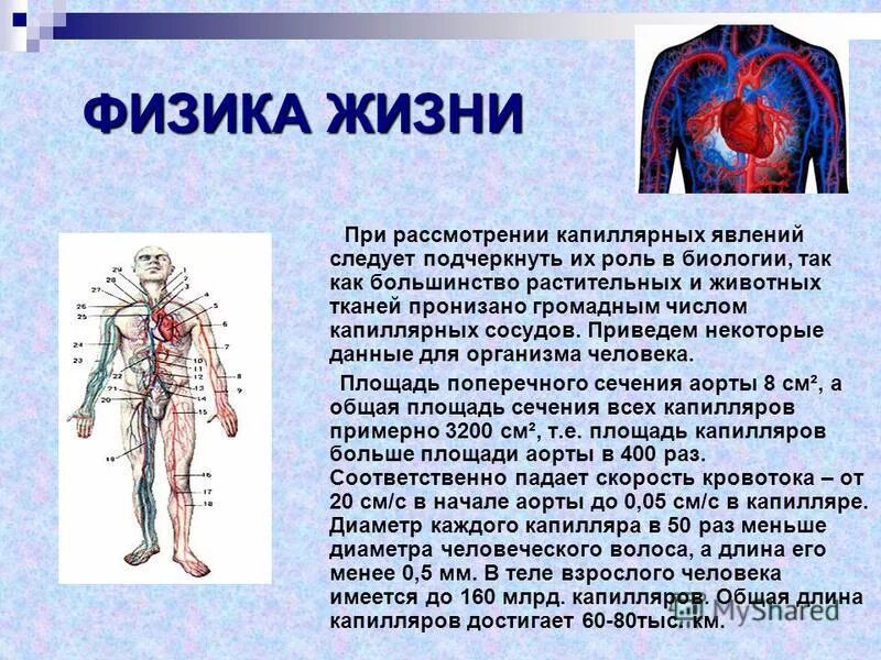 учебник ярцев. физик жив. книги жореса алферова. физикон); “уроки физики в 11 классе”. алферов книга.