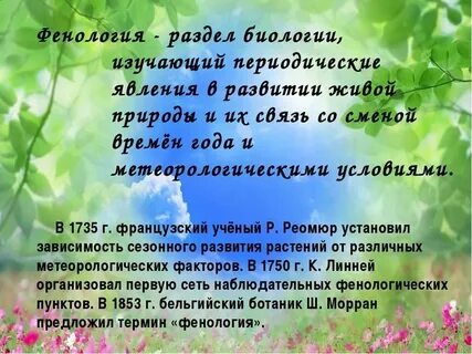 Фенология