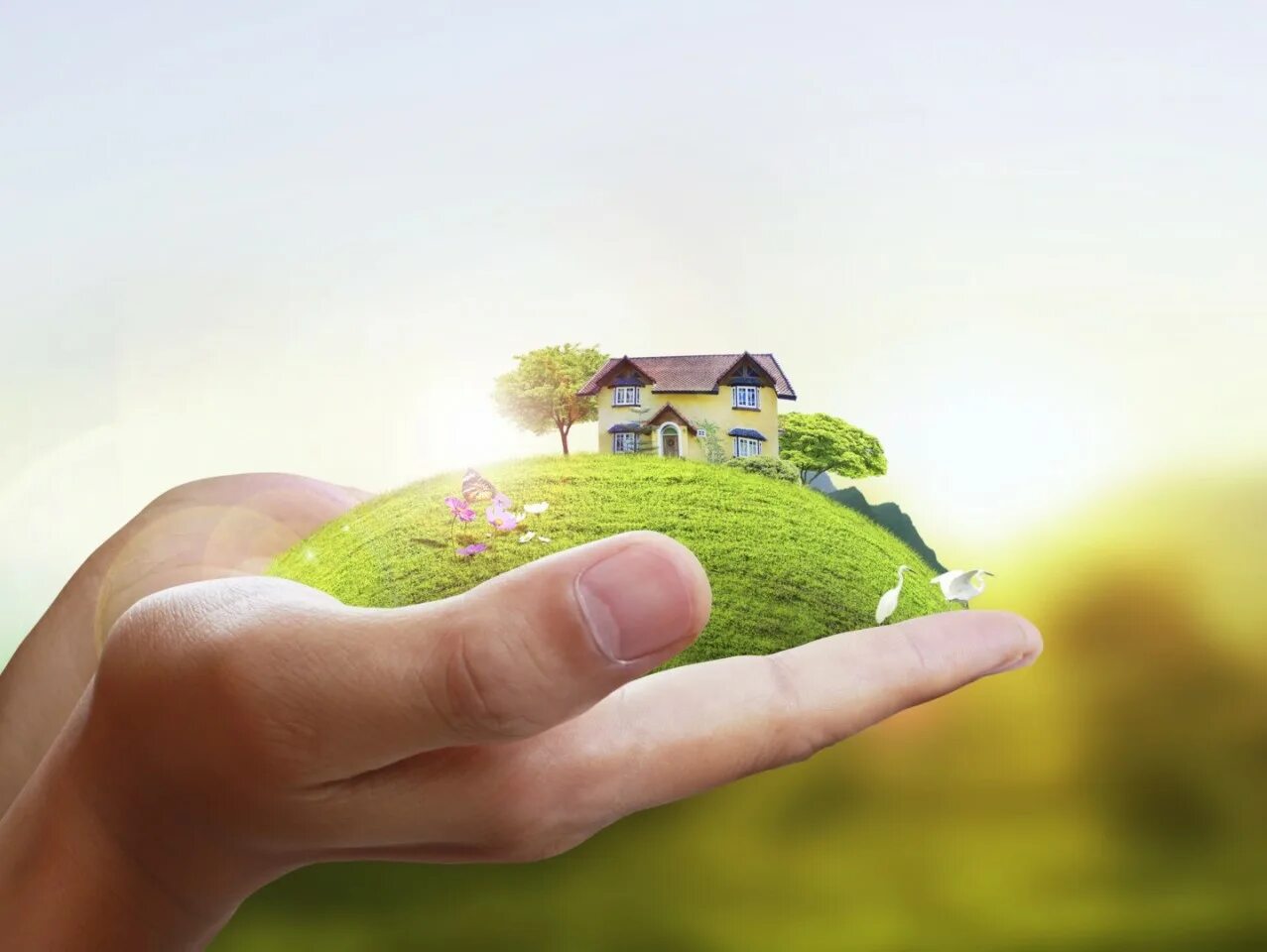 Инвестиции картинки. Земельный рынок. Деньги финансы. Растущее дерево. Инвестиции растут.