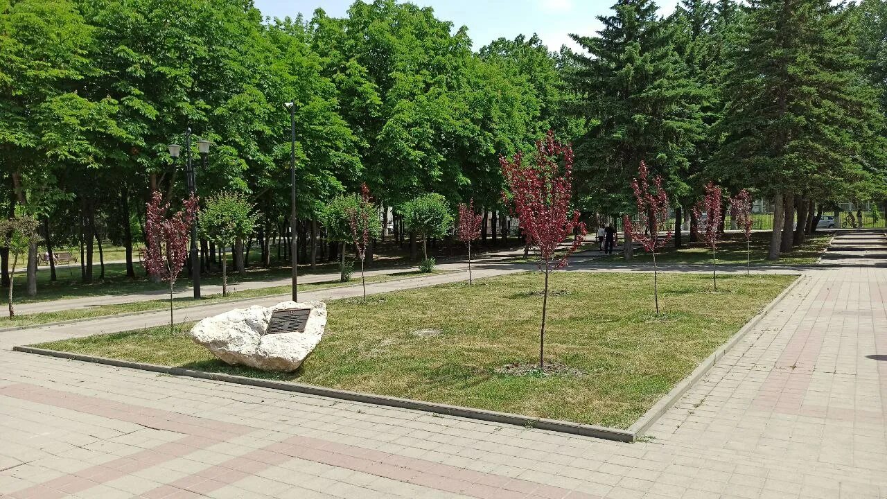 Пятигорск аллея. Комсомольская аллея город лермонтов. Аллея в пятигорске. Аллея в пятигорске. Мемориал вечный огонь пятигорск.