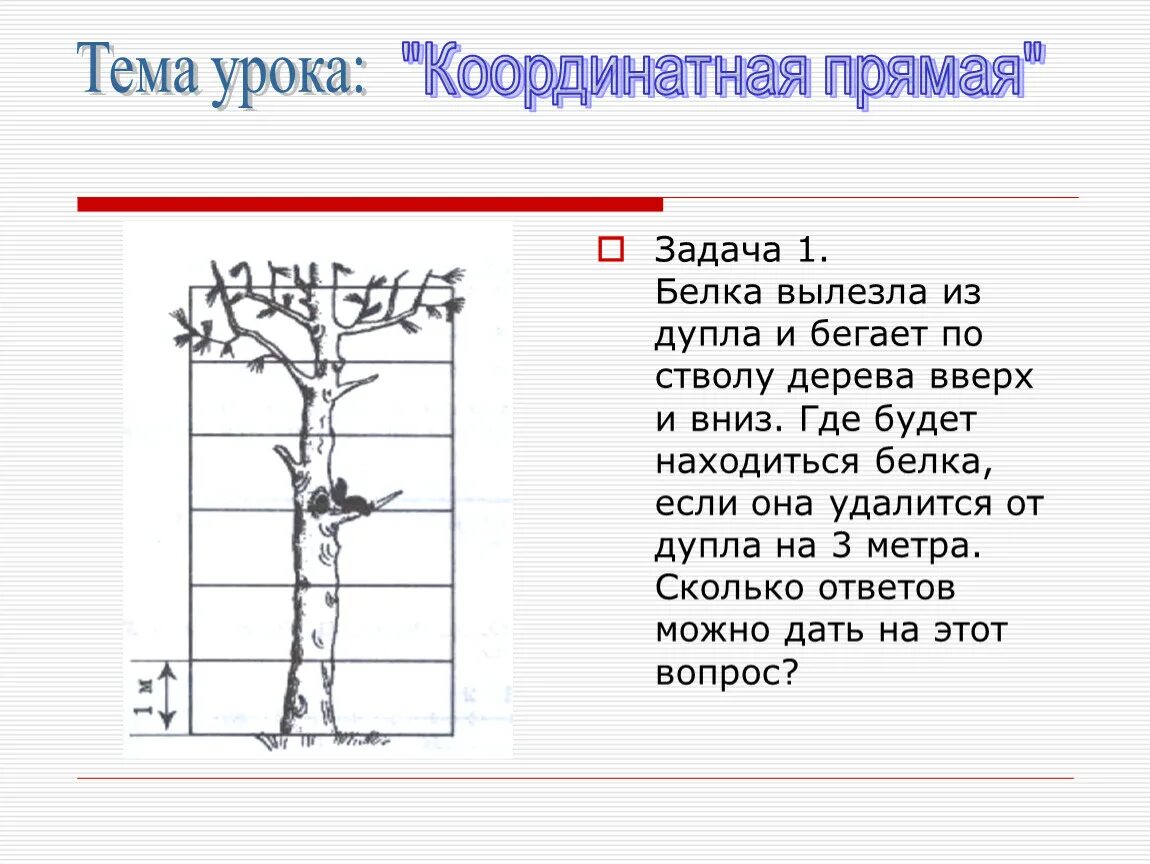 По стволу дерева можно. Белка вылезла из дупла и бегает по стволу дерева вверх и вниз. Задача: белка , бегая по дереву. Бег по стволу дерева. Белка по координатной прямой.