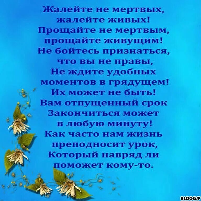 Стих живем дальше. Стихотворение о прожитых годах. Не жалейте о прожитом стихи. Не жалейте о прожитых годах стихи. Возвращайтесь живыми стихи.