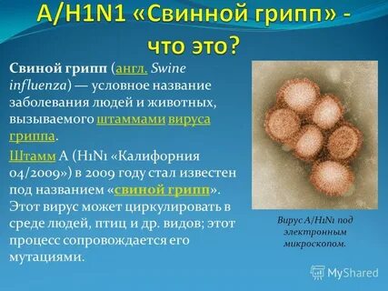 Проект гриппа