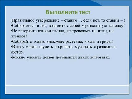 Почему в лесу мы будем соблюдать тишину