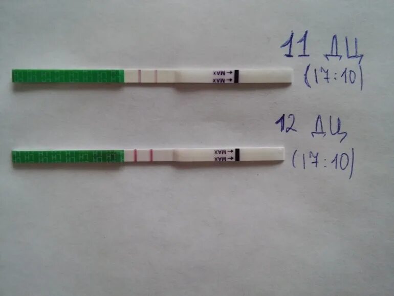 Эвиплан тест на овуляцию. Тест на овуляцию положительный Eviplan. Тест на овуляцию Eviplan 5. FEMIPLAN тест на овуляцию положительный.