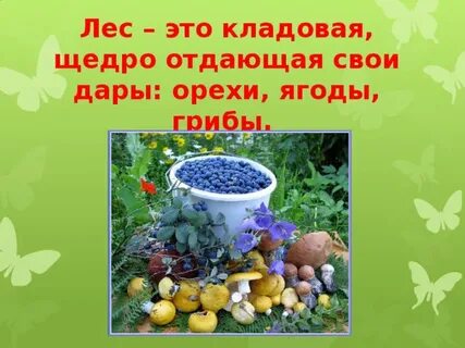 День даров