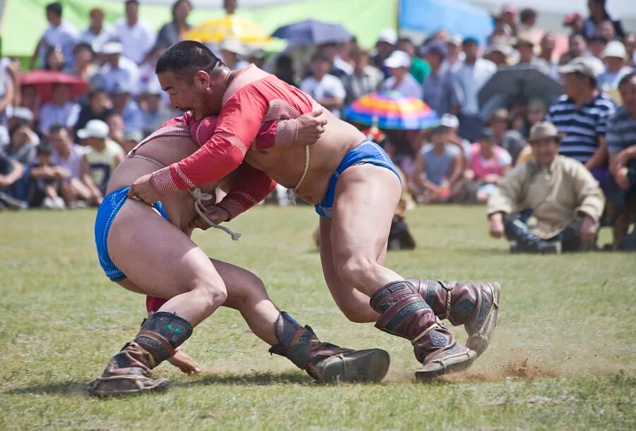 Наадам монголия. Монгольская национальная борьба. Монгольский борец сухбат. Монголия борьба наадам. Монгольский борец сухбат.