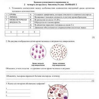 Тест по биологии 8 класс внутренняя среда