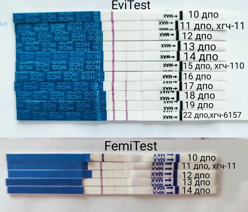 Хгч после овуляции форум. ХГЧ ДПО. ХГЧ по дням после овуляции. ХГЧ по дням ДПО. Динамика тестов на беременность по ДПО.