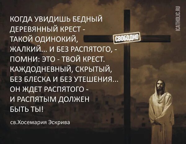 Цитаты про страдания. Высказывания про страдания. страдания цитаты. афоризмы про страдания. страдать цитаты.