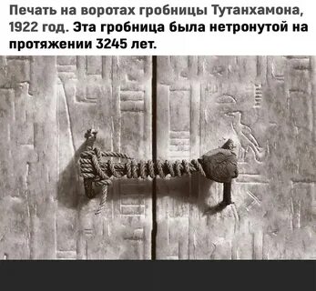 Загадка гробницы