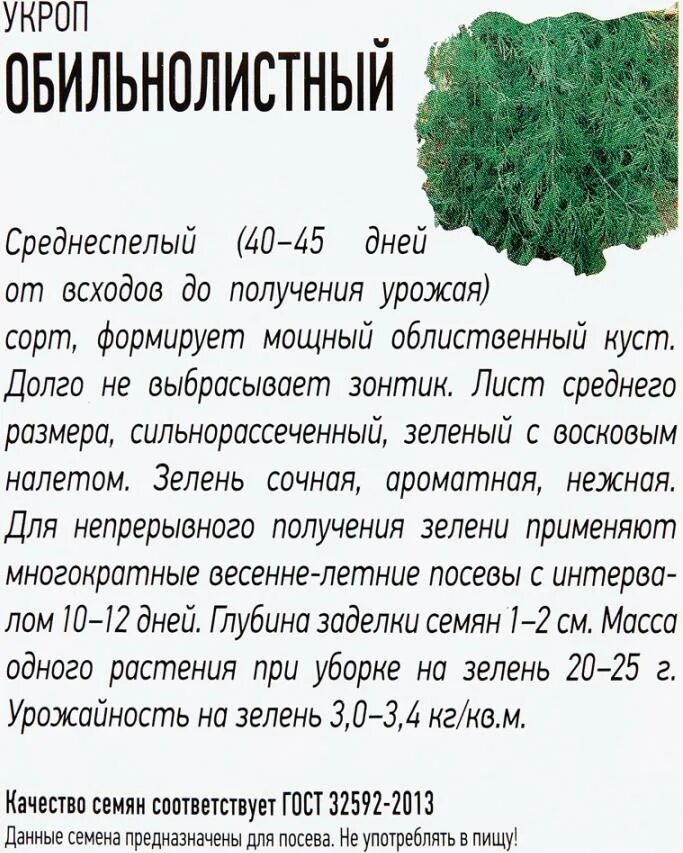 Семена удачные семена укроп Обильнолистный 2г. Семена. Укроп "Обильнолистный". Укроп Обильнолистный удачные семена 2г. Семена укропа при поджелудочной. Может ли укроп