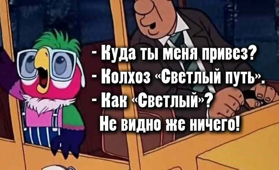 Колхоз светлый путь попугай Кеша. Попугай Кеша цитаты. Попугай Кеша приколы. Фразы из мультфильмов. Песня ничего не видно