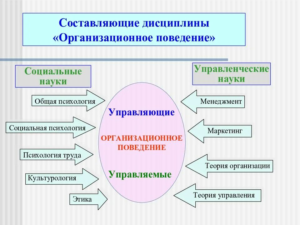 Управленческое поведение функции. Организационное поведение. составляющие организационного поведения. специфика организационного поведения. задачи организационного поведения.