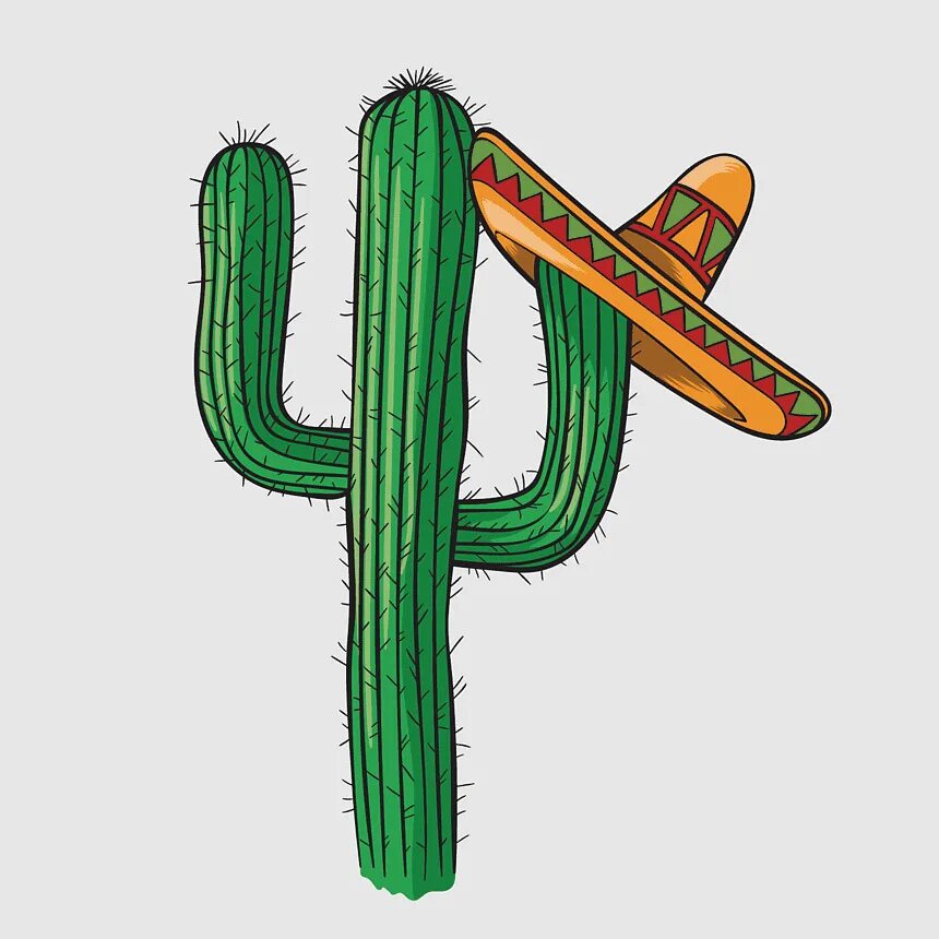 Mexican cactus. Кактус символ Мексики. Кактус Мексика вектор. Кактус на прозрачном фоне. Мексиканский Кактус на белом фоне.