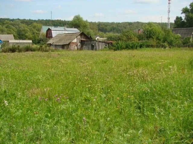 Ступино снт металлург 8. Деревня петрово тушино. Петрово парк ступино. Д. Заря московская область, городской округ ступино, деревня петрово.