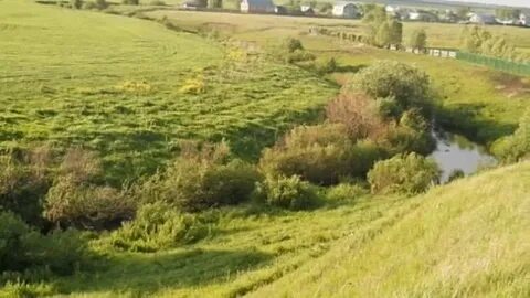 Мочалей нижегородская область