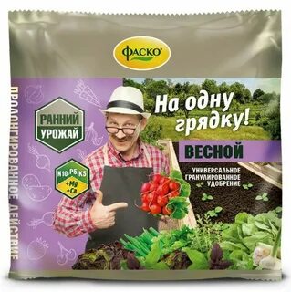 Семена фаско
