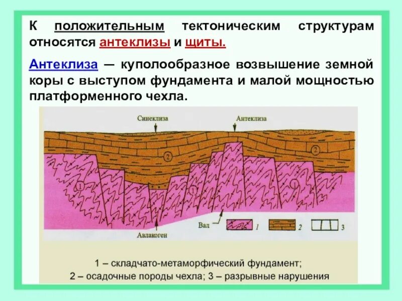 Какой тектонической структуре. Тектонические структуры. Строение тектонических структур. Антеклизы. Тектоническими структурами являются.