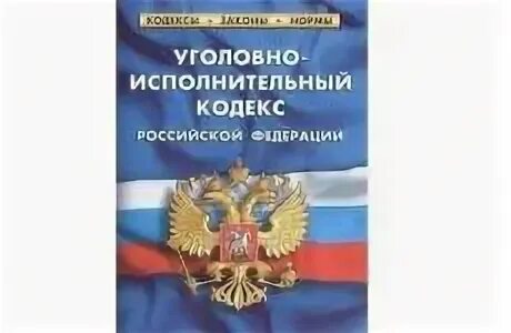 Характеристика уголовно исполнительного кодекса