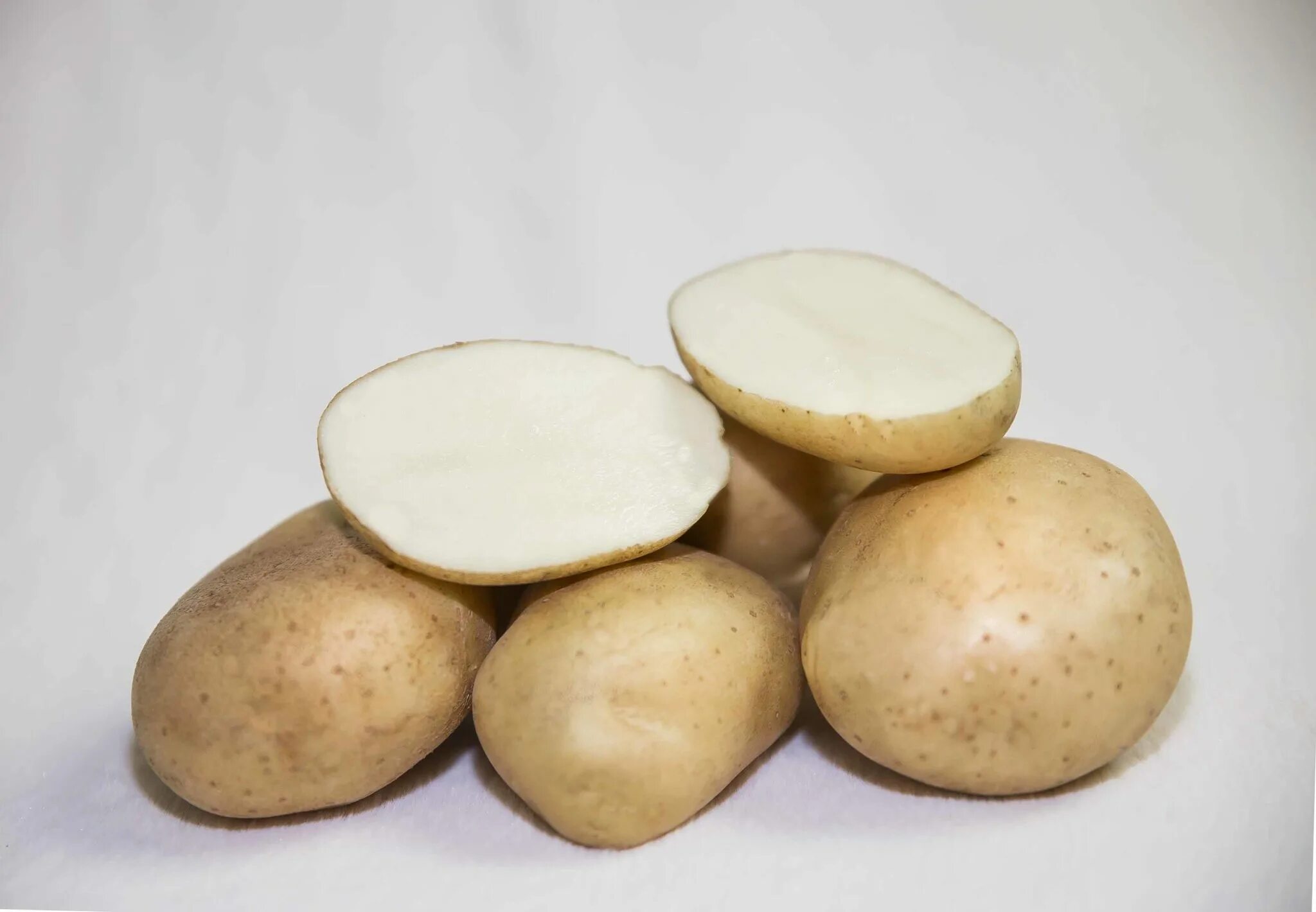Картофель сорт жуковский. Сорт картофеля жуковский. жуковская сорт картофеля. картофель жуковский ранний. сорт картофеля жуковский ранний.
