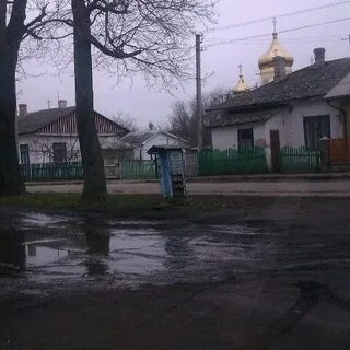 Березне