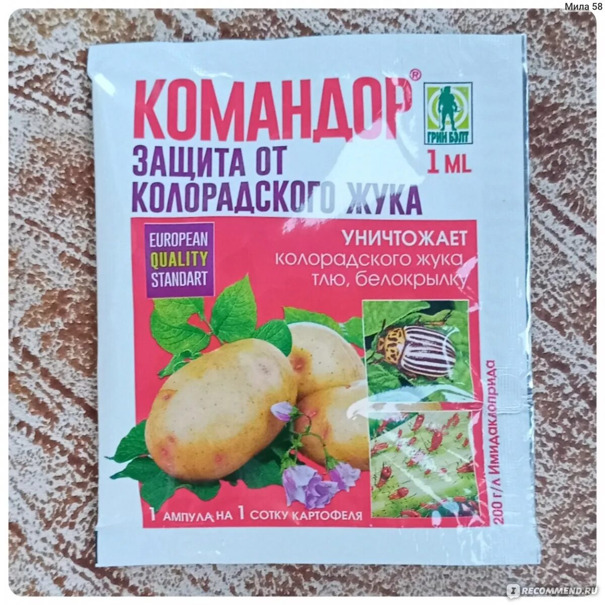 Отрава для картофеля от колорадского жука. Препараты от колорадского жука на картошке. Жукоед личинки. Танрек 1мл. Средство жук от колорадского жука.