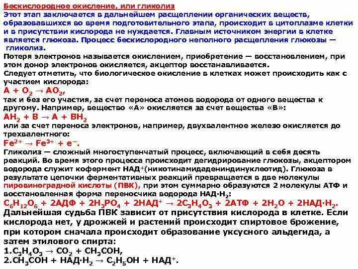 В бескислородных условиях живет. Процесс биологического окисления. Биологическое окисление при участии кислорода. Этапы биологического окисления. Аэробное биологическое окисление.