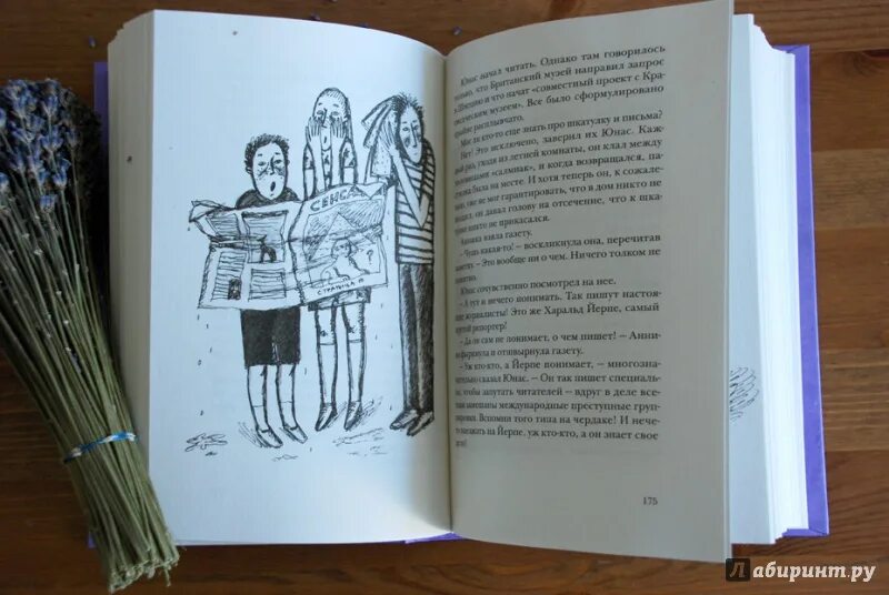 Навозный жук летает в сумерках краткое содержание. Навозный жук книга. книга навозный жук летает в сумерках.