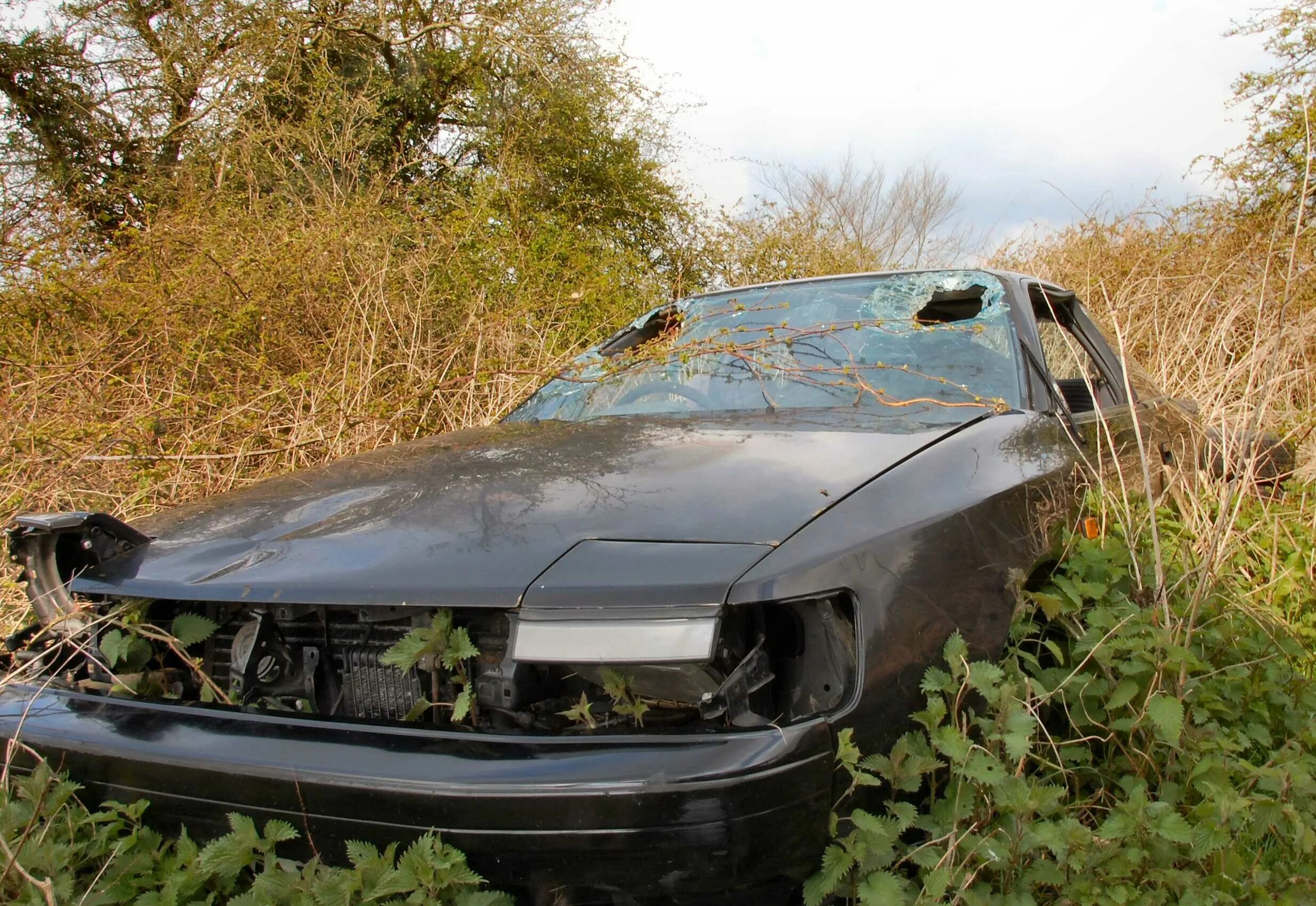 Car yard 2. Salvage машины. фары авто заброшенные хищник. заброшенные машины которые найдены на окрестностях. car wreck.